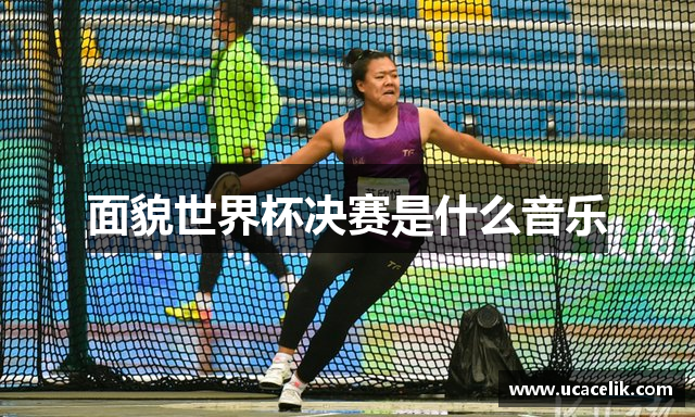 面貌世界杯决赛是什么音乐